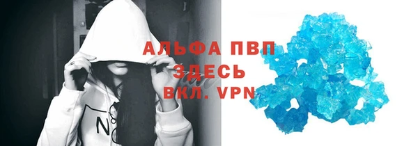 индика Новодвинск