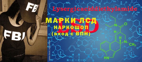 индика Новодвинск