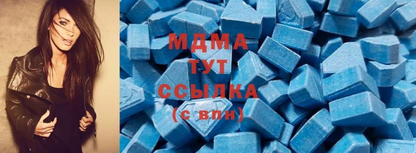 индика Новодвинск