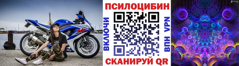купить наркотики сайты Светлый Галлюциногенные грибы GOLDEN TEACHER